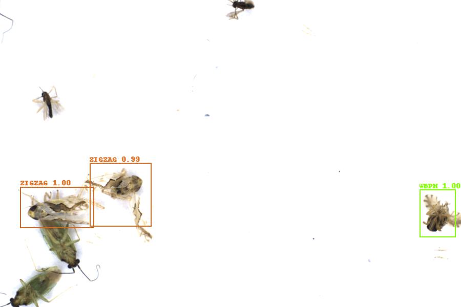 Image 19